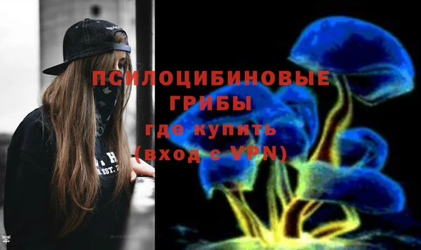 кокаин Белокуриха