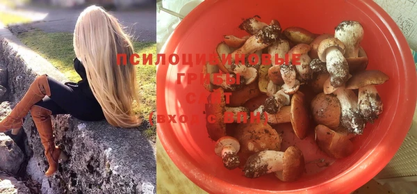 трава Беломорск