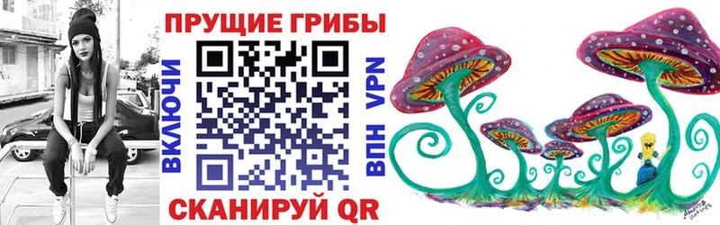 Купить где  Каневская  Галлюциногенные грибы Magic Shrooms 