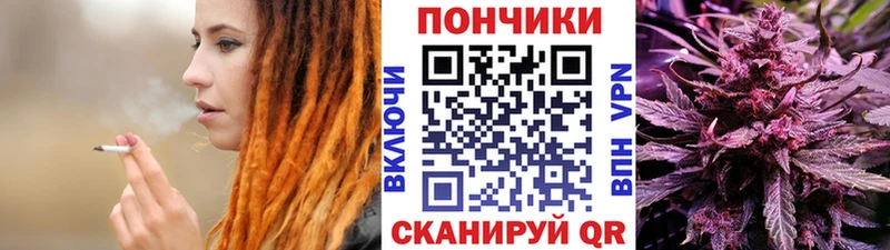 Шишки марихуана план  Купить закладки  Каневская 